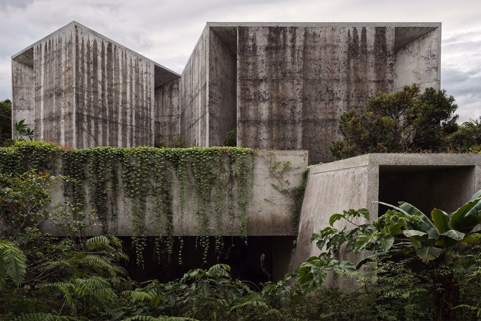 Deux volumes cubiques en béton brut texturé, couverts de traces d'humidité et de lianes retombantes, émergent d'une végétation tropicale dense composée de fougères et de bananiers, sous un ciel nuageux uniforme.