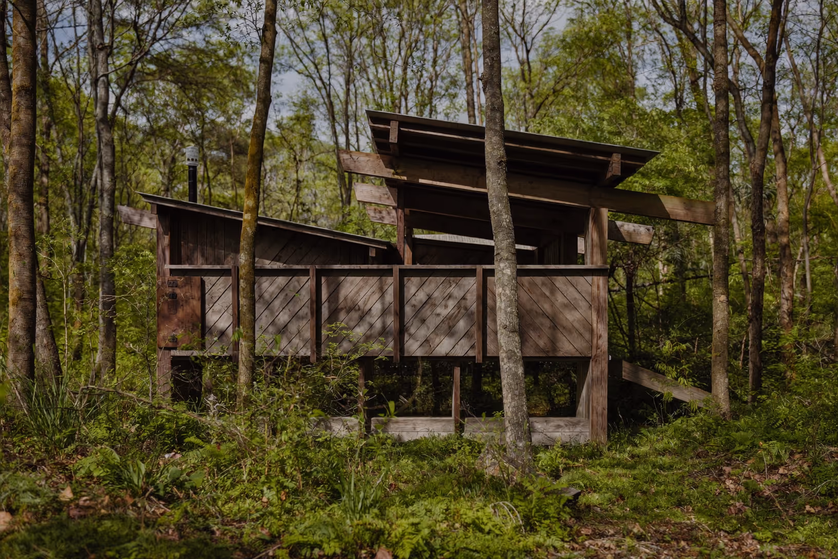 Petite structure en bois bruni aux planches posées en diagonale, sur poteaux, entourée d'arbres à feuilles caduques dans un sous-bois printanier