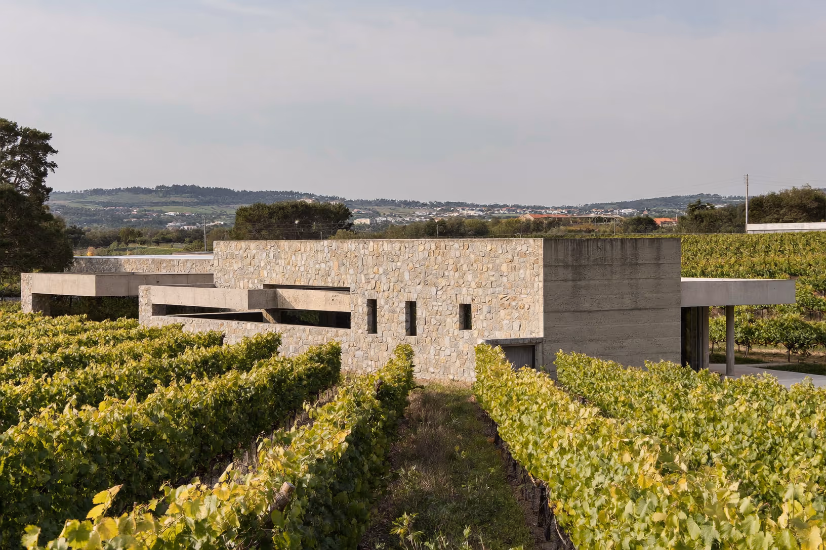 Bâtiment bas et horizontal composé de volumes en béton brut et en pierres sèches appareillées, posé au milieu de rangées de vignes vertes, avec des collines boisées en arrière-plan sous un ciel couvert.