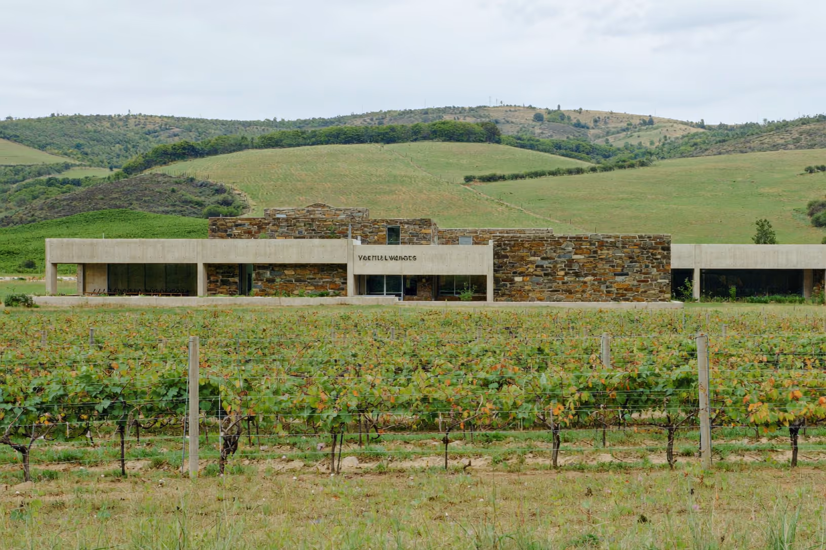 Bâtiment de plain-pied au milieu d'un vignoble, avec un corps central en pierre sèche apparente encadré par deux ailes en béton à piliers, collines vertes en arrière-plan sous un ciel couvert.