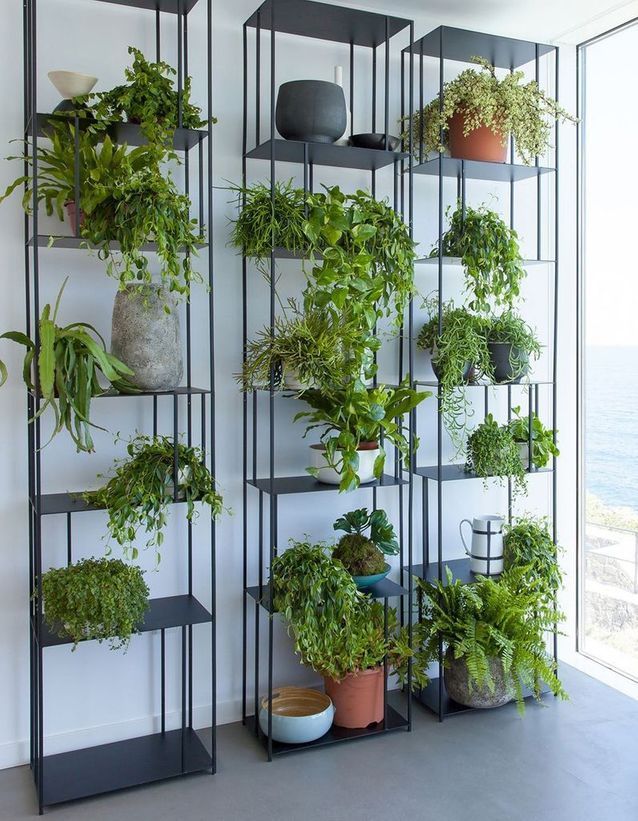 étagère décoration intérieur avec plante